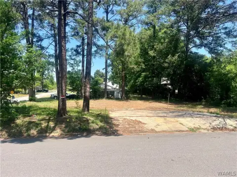 Northport Build-Ready Investment Lot