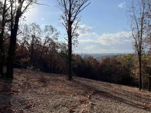 Omaha, AR Acreage with View