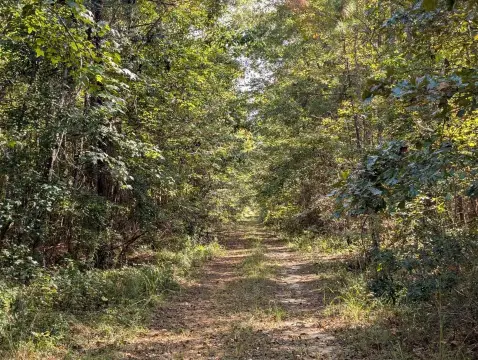Secluded Timber & Wildlife Tract