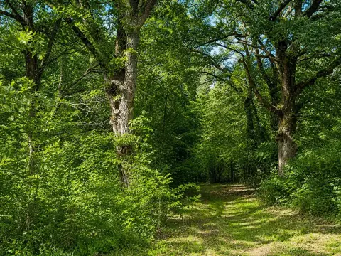 Riverfront Hunting Land with Pond