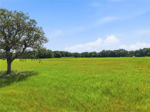 Agricultural Homesite with Ag Exemption