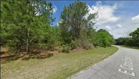 Residential Lot in Citrus Springs