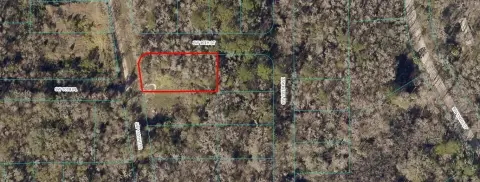Spacious Corner Lot Opportunity