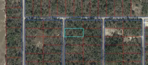 Acre Lot in Rainbow Lakes