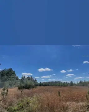 Expansive Land in Fort McCoy
