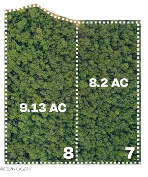 Neosho Land with Mature Trees