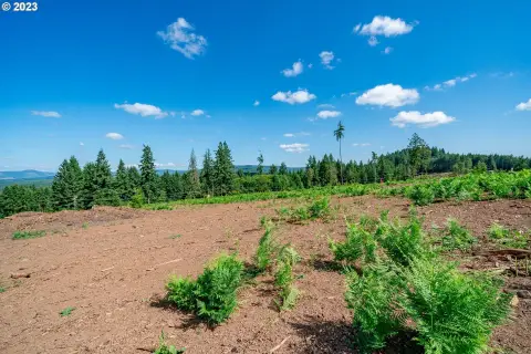 Castle Rock Land with Views