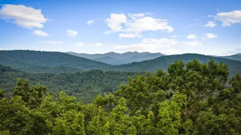 Gated Mountain Homesite with Views