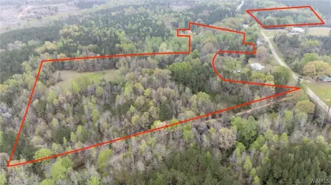 Land with Mature Timber