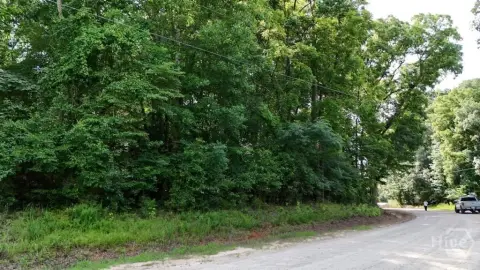 Wooded Hunting and Homesite Land