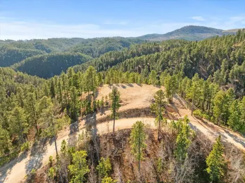 12.3 Acres Wooded Land