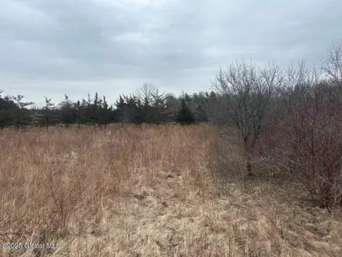 Scenic Land in Athens, NY