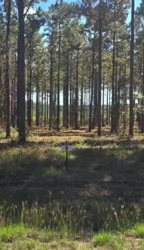 Land Near Toledo Bend Lake