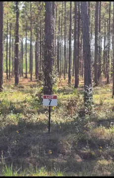 Land Near Toledo Bend Lake