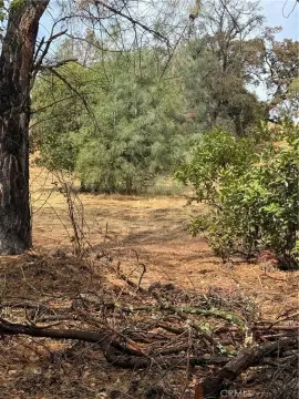 Clearlake Oaks Land with Lake Views