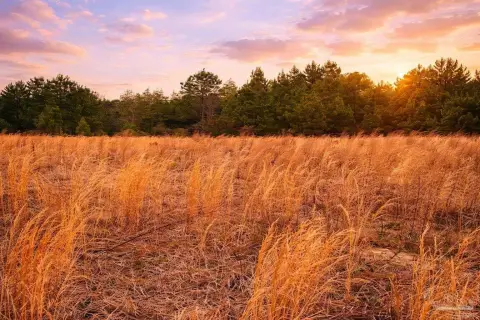 Land Parcel in Jay, FL