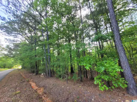 Land Parcel Near Talladega