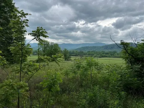 Mountain-Stream Pasture Land