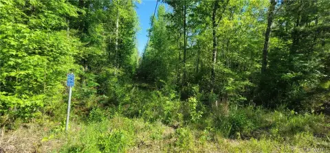 Northport Land with Mature Trees