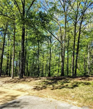 Northport Land For Sale