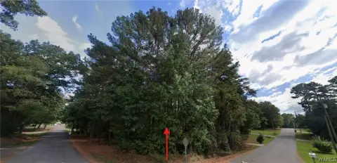 Residential Land in McCalla, Alabama