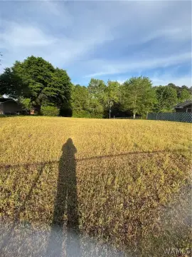 Northport Land Ready to Build