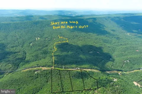 Wooded Hunting Land with Cabin Shell