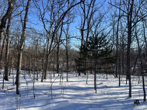 Land Near Lake of the Ozarks