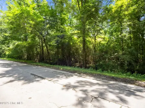 Wooded Lot in Sea Gate