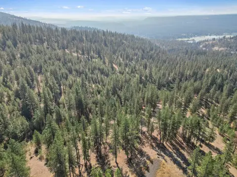 Forested Land Parcel in Deer Park