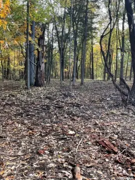 Vacant Land For Sale