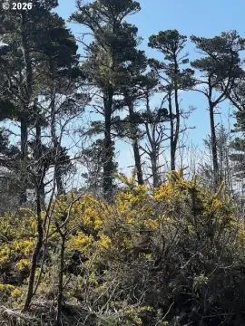 Bandon Acreage Development Opportunity