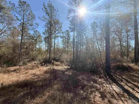 Pace, FL Homesite in Community