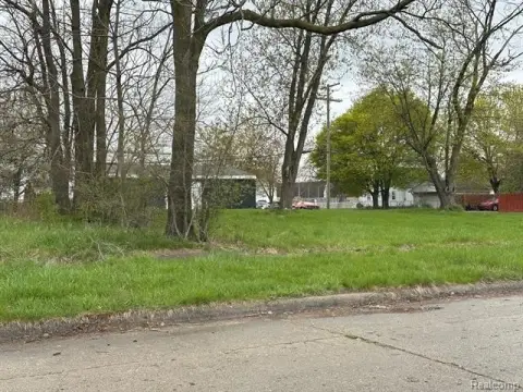 Detroit Vacant Land Opportunity