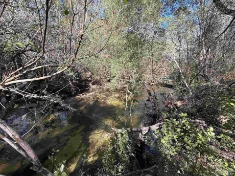 Creek-Access Homesite in Gated Community