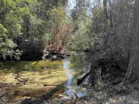 Creek-Access Homesite in Gated Community