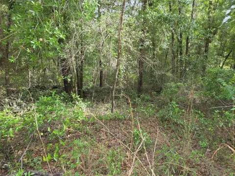 Corner Lot in Bronson, FL
