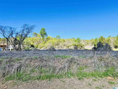 Land with Highway 79 Frontage