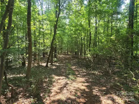 Secluded Land with Bubbling Creek