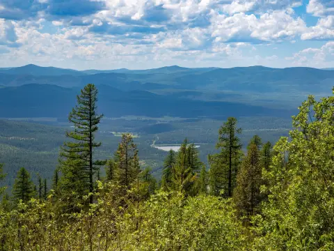 Whitefish Mountain Resort Homesite