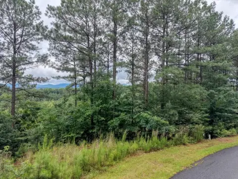 Mountain View Homesite in Gated Community