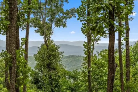 Northeast-Facing Mountain View Homesite