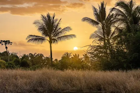 Kihei Vacant Land Opportunity