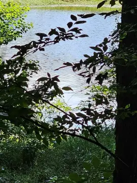 Residential Land in Waverly Hall
