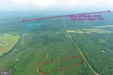 Wooded Hunting Land Tract