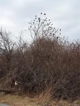 Vacant Land in Montauk, NY