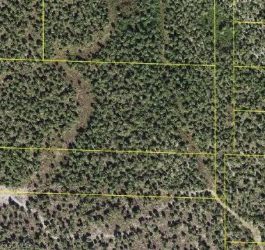 5 Acre Development Rights Lot