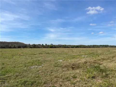 40 Acres Pasture and Woods