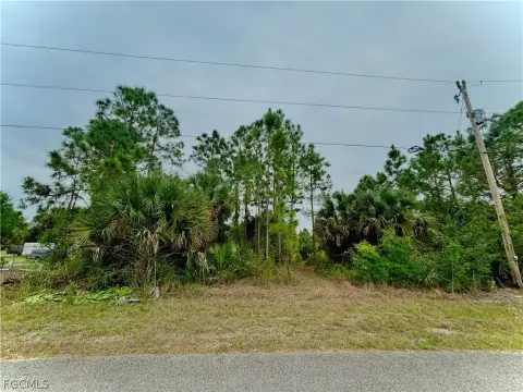 Residential Land in Lehigh Acres