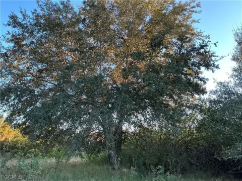 Labelle, Florida Land Parcel